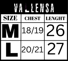 RAGZEEN Premium Bomber Jacket – Modern Streetwear for Men